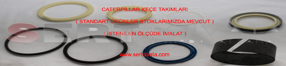 Caterpillar_kece_Takımı_oring-Sert-Civata-Basaksehir-ikitelli-İmalat-toptan-Celik-Metal-Kaliteli-Perakende-Ucuz-Istanbul-Turkiye